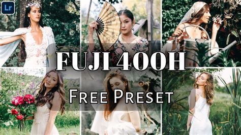 Fuji 160ns - Noritsu 01. . Fuji 400h preset free download
